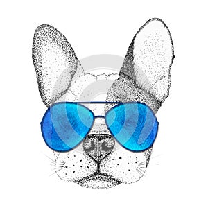 Sketch french bulldog dog head hand drawn illustration. Doggy in blue sunglasses, isolated