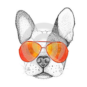 Sketch french bulldog dog head hand drawn illustration. Doggy in sunglasses, isolated