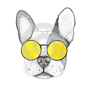 Sketch french bulldog dog head hand drawn illustration. Doggy in yellow sunglasses, isolated