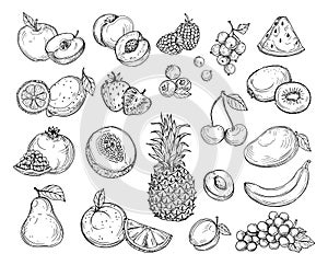 Sketch fruits. Strawberry melon, peach mango. Banana pineapple, raspberry grapes hand drawn fruit berry vector set