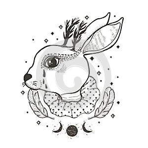 Sketch graphic illustration Circus Rabbit with mystic and occult hand drawn symbols. Vector illustration. Astrological and esoteri