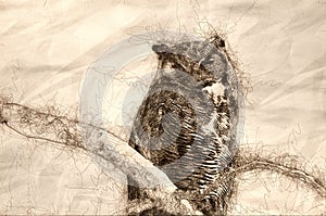 Sketch of a Great Horned Owl Perched on a Branch in a Tree