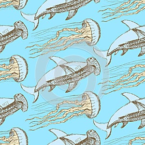Sketch hammerhead shark and jellyfish in vintage style