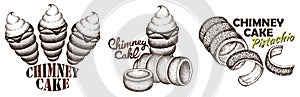 Sketch hand drawn logo of Chimney cake with ice cream, pistachio, chocolate, whipped cream isolated on white background.