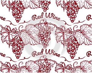 Sketch hand drawn red wine pattern with bordo grapes and leaves on branch on white background. Outline drawing alcohol drink