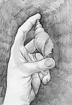 Sketch of a hand with sea shell