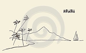 Sketch Hawaiian seaside view vector hand drawn.