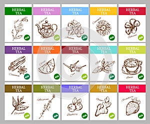 Sketch Herbal Tea Labels Collection