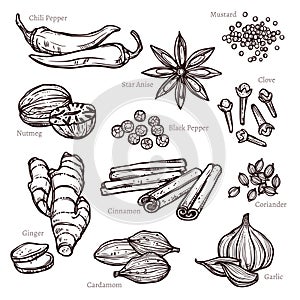 Sketch Herbs And Spice Set