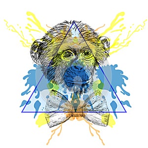 Sketch Hipster Monkey with bow tie in triangle frame with water