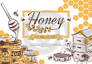 Sketch honey background. Hand drawn sweet dessert natural organic honeycomb, beeswax and bee, beekeeping banner, poster photo