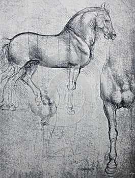 Sketch of horse, pencil drawing in a vintage book Leonard de Vinci, author A. Rosenberg, 1898, Leipzig