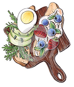 Sketch illustration healthy breakfast delicious food sandwiches with avocado egg and arugula and seasonal blueberries and