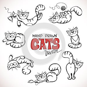 Sketch illustration of playful cats