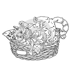 Sketch illustration of playful cats. Sleeping, sitting, looking back, playing