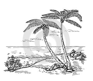 Sketch landscape with palm tree. Vacation on tropical beach, paradise by ocean hand drawn vector background illustration