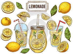 Sketch lemonade. Summer cold drinks, hand drawn yellow lemons slices and leaves. Glass of lemonade with ice vector