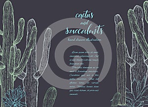 Sketch linear cactus ans succulents