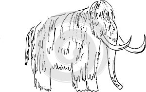 Sketch of mammoth with giant tusks