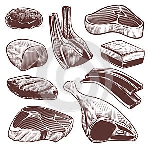 Sketch meat. Hand drawn fresh raw meat products collection, beef steak and ham, pork fillet and lamb chops menu retro