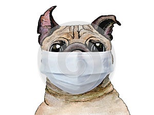 Sketch painted in watercolor: pug dog wearing protective face mask corona virus, coronavirus on a white isolated