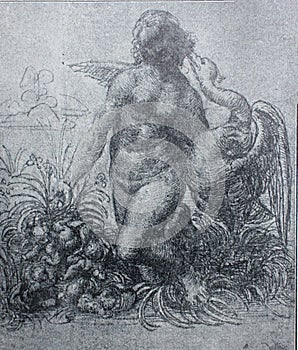 Sketch for painting Leda and Swan by by Leonardo Da Vinci in a vintage book Leonard de Vinci, author A. Rosenberg, 1898, Leipzig