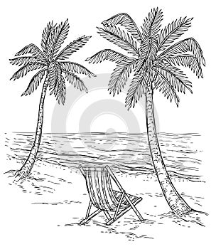 Sketch palm tree landscape. Tropical palm beach, exotic trees and sea waves. Vintage hand drawing vector relaxing summer