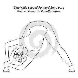 Sketch of Parshva Prasarita Padottanasana.