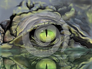 Sketch picture eye of crocodile