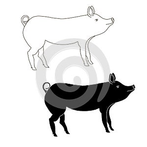 Sketch of pig/ Farm animal monochrome design element