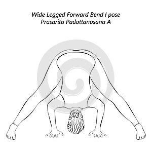 Sketch of Prasarita Padottanasana A