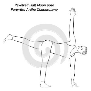 Sketch of Revolved Half Moon. Ardha Chandrasana