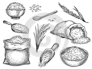 Sketch rice grains. Vintage seeds pile and farm ears. Whole basmati grain in bag, scoop and spoon. Rice porridge bowl. Hand drawn