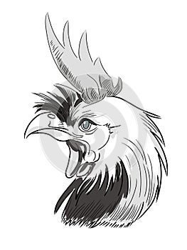 Sketch of a rooster in minimal colors. Color illustration