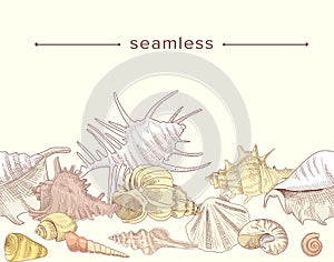 Sketch Seamless Pattern with Sea Shells, Mollusk Conch on White Background. Engraved Design of Seashells Marine Clams