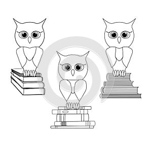 Sketch set of wise owls on a stack of books. Vector outline owl character in black line flat style