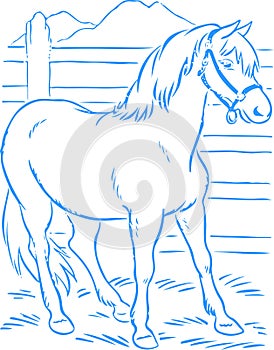 Sketch of Single Horse Standing inside the Shed Editable Vector Outline Illustration