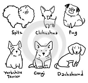 Sketch of six breeds of cute small dogs, vector lineart