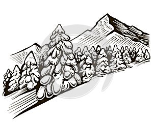 Sketch of snowy mountains with fir forest, vector landscape.