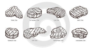 Sketch steak. Hand drawn beef food, engraving bbq meat strip, club and ribeye steaks vector set