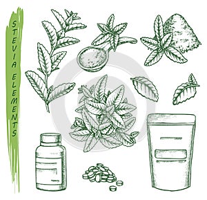 Sketch of stevia plant and pills, scoop and pack photo