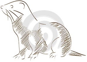 Sketch of a stilyzed ferret