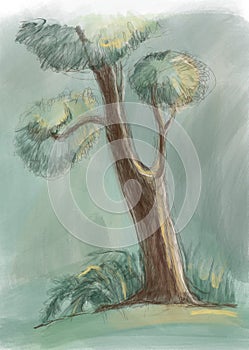 Sketch of summer tree illustration oil painting style