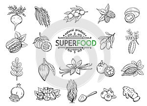Sketch superfood icons set