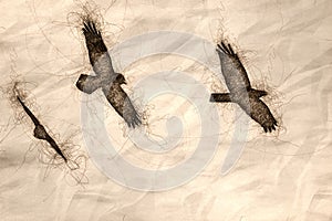 Sketch of Three Common Black Ravens Flying in a Blue Sky