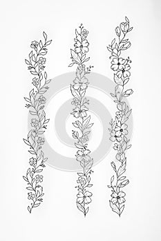 Sketch three garters flower on a white background.