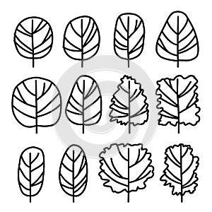 Trees Hand drawn sketch doodle