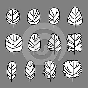 Trees Hand drawn sketch doodle