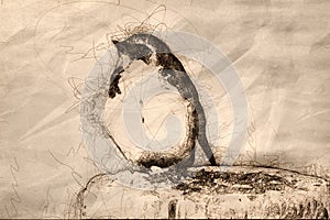 Sketch of a Tree Swallow Singing While Perched on an Old Weathered Wooden Fence Post