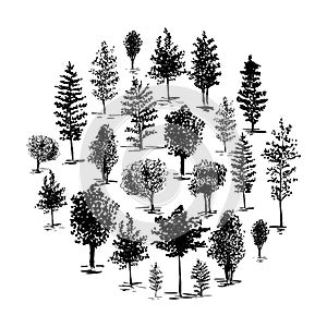 Sketch trees, set of hands drawn silhouette trees, vector illustration isolated on white background.